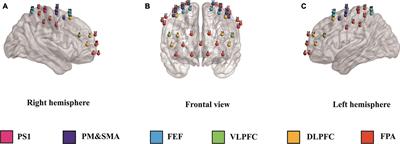 Correlation and underlying brain mechanisms between rapid eye movement sleep behavior disorder and executive functions in Parkinson’s disease: an fNIRS study